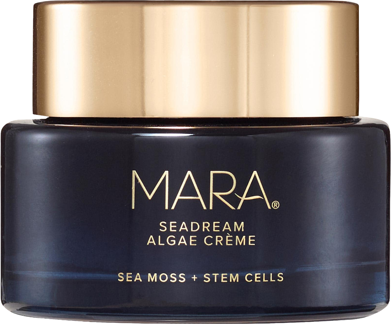 SeaDream Algae Creme Moisturizer for Firming & Tightening with Sea Moss + Peptides