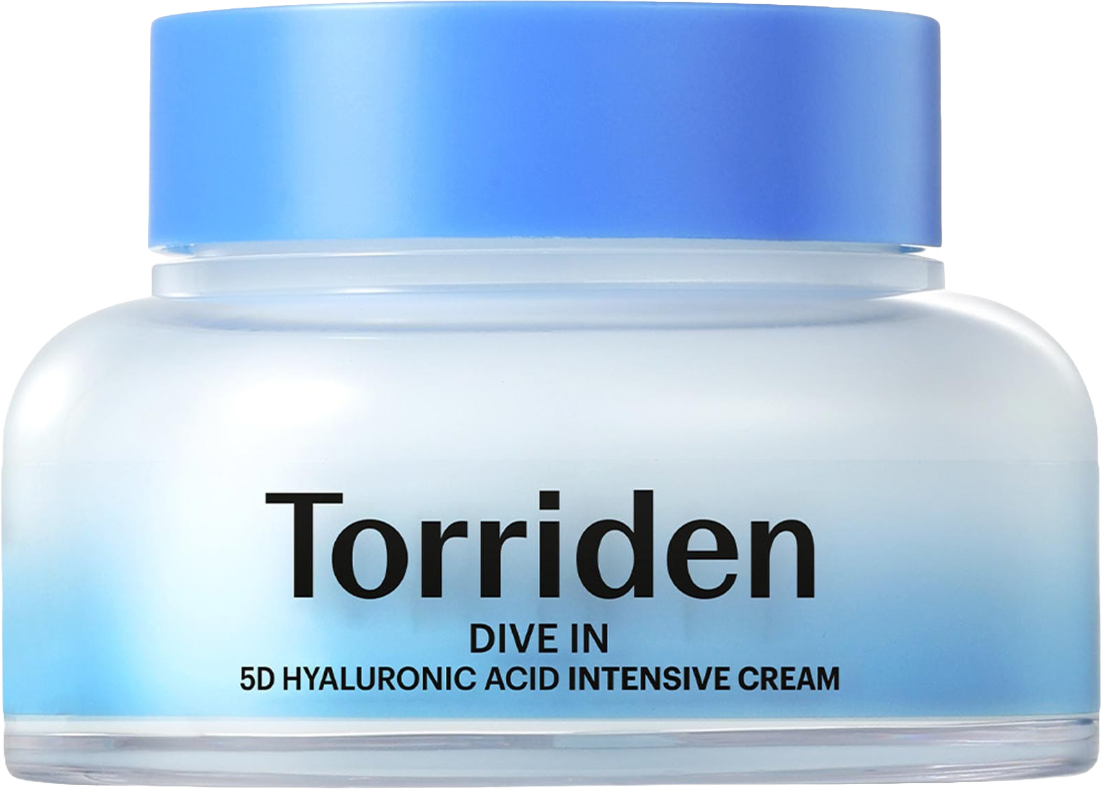 DIVE IN 5D Hyaluronic Acid Intensive Cream for dry Skin & Moisture Barrier Support
