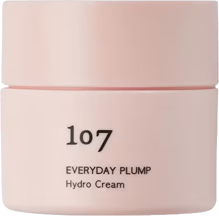 Everyday Plump Hydro Cream